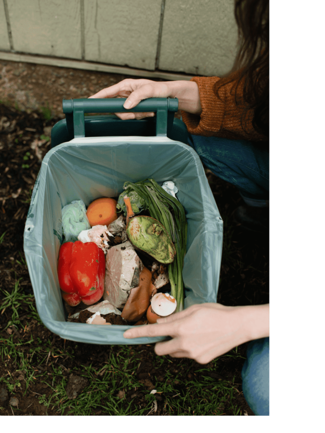 Accordion - Fill Your Bin